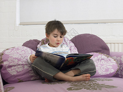 男孩(5-6)在客厅沙发上读书图片