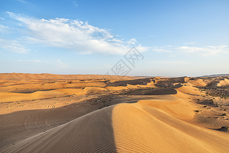 瓦希巴阿曼沙漠灌木丛假期蓝色衬套旱谷植物沙丘天空旅行图片