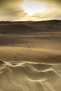 阿曼旱谷情绪谷物太阳假期沙丘飞行旅行日落天空图片