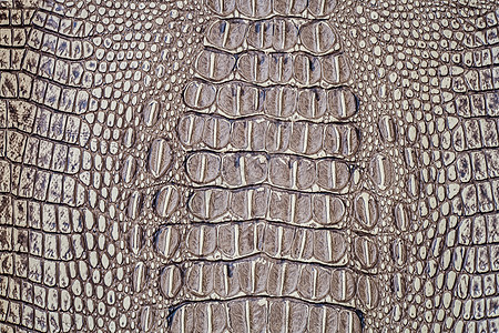 鳄皮织物巧克力荒野模仿宏观框架爬虫皮革野生动物蛇皮图片