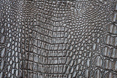 鳄皮巧克力动物织物蛇皮真皮艺术奢华野生动物框架材料图片