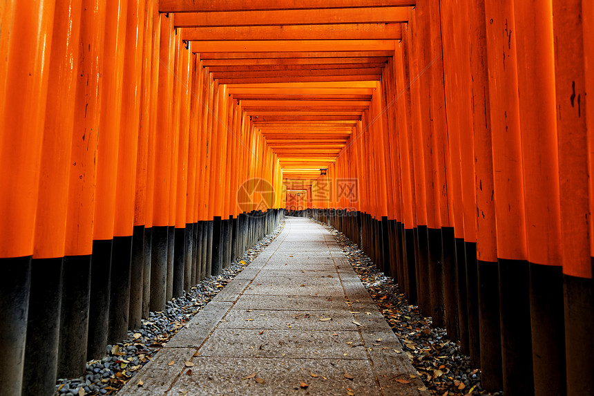 法希米伊纳里塔伊沙神社信仰入口宗教写作游客小路隧道灯笼精神橙子图片