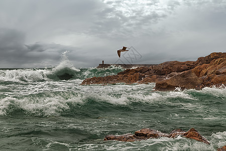 风暴港旅行海浪海景码头火花流动鸟类岩石堡垒支撑图片
