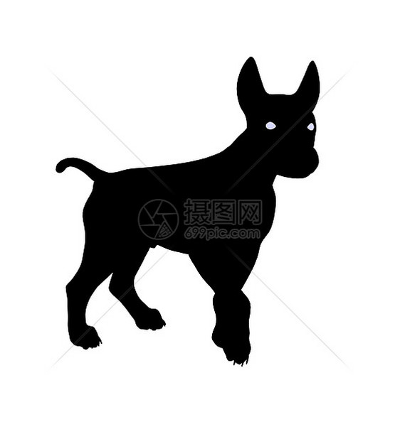 狗狗说明Silhouette剪影犬类插图小狗动物花花公子图片