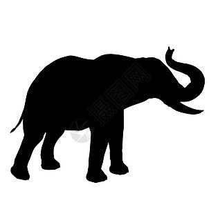 Silhouette长毛象非洲高清图片