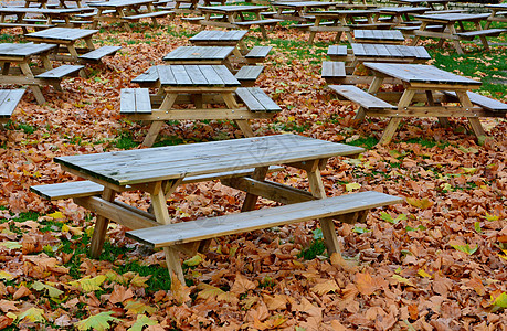 秋天空啤酒花园餐厅露天木头桌子咖啡馆公园树叶长凳背景图片