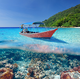 带有珊瑚礁水下观测的海滩和机动船旅行热带边缘蓝色汽艇血管速度航行地平线珊瑚图片