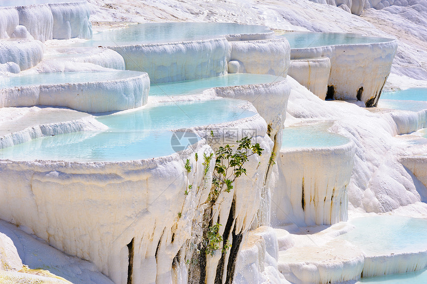 土耳其Pamukkale的蓝水穿河游泳池蓝色水池石灰石青色旅行地质学游客岩石火鸡盆地图片