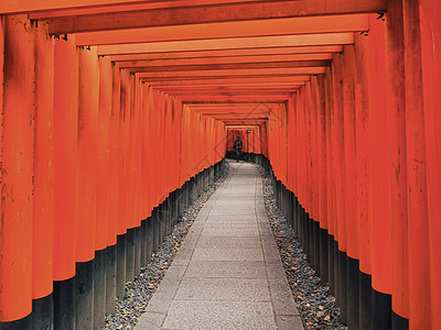 日本京都神社的托里伊旅行橙子神社寺庙神道旅游图片