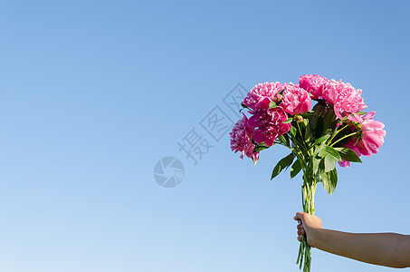 蓝色天空上女人手握的粉红色花束图片