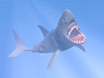 鲨鱼攻击  3D捕食者光线蓝色牙齿危险泡沫动物海洋白色插图图片