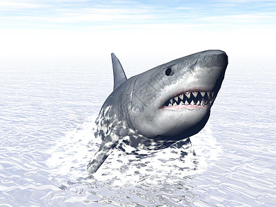 鲨鱼攻击  3D插图白色危险游泳捕食者海洋动物泡沫牙齿蓝色图片