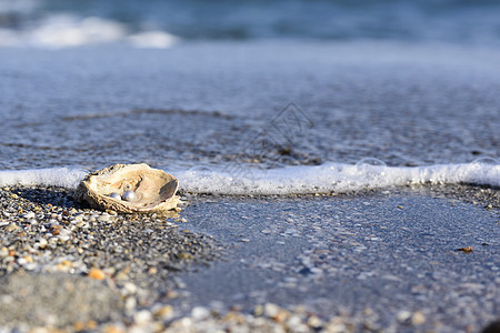 澳大利亚珍珠类牡蛎文化海洋旅行贝壳假期农业装饰品魅力材料图片