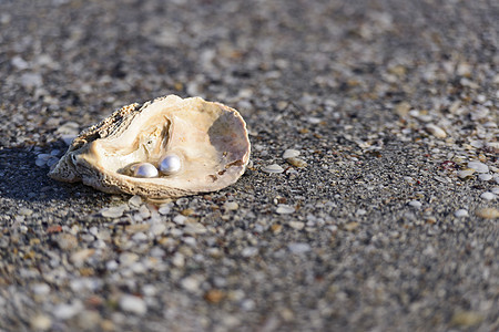 澳大利亚珍珠类材料海洋旅行宝石奢华农业魅力贝壳假期文化图片
