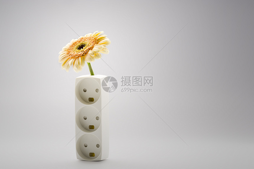 花瓶中的单黄黄色Gerbera菊花图片