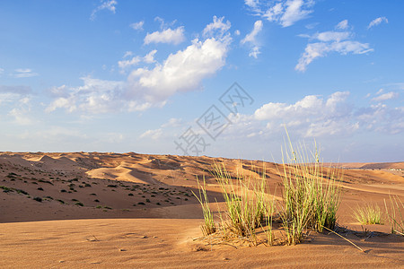 阿曼瓦希巴沙漠图片