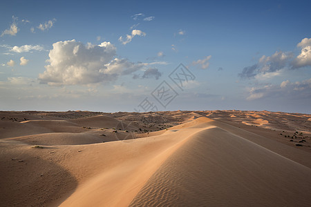 瓦希巴阿曼沙漠植物蓝色旱谷灌木丛天空旅行假期沙丘衬套图片