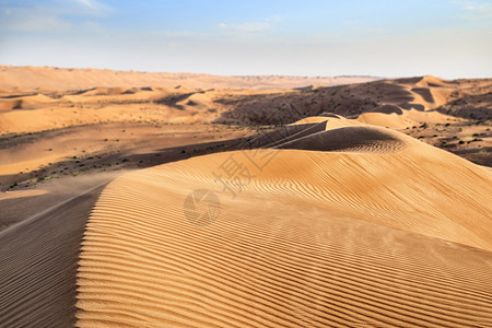 瓦希巴阿曼沙漠旱谷植物旅行沙丘天空蓝色灌木丛假期衬套图片