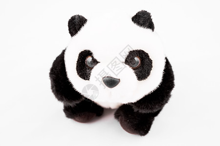 Panda 玩具图片