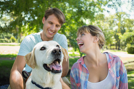 快乐的一对夫妇和他们的拉布拉多人坐在公园里边缘夫妻友谊农村太阳男人犬类女性宠物感情图片
