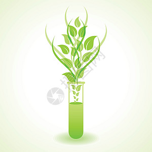 草药化学概念种群矢量植物辉光玻璃环境液体活力药片插图试管生态图片