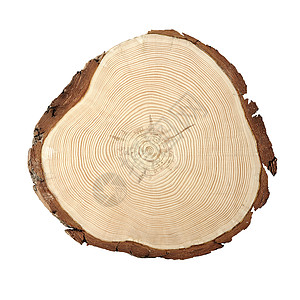 木木横截段木工木材业木头风化圆圈森林生长木材横截面材料图片