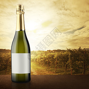 白葡萄酒瓶和葡萄园在背景上图片