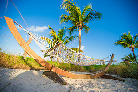 海边热带海滩上棕榈的阴影下草吊床支撑稻草海洋晒黑阳光海景旅游海岸植物风景图片