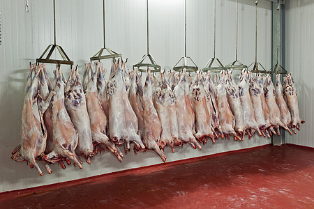 屠宰场肋骨肉类饮食生食饮料红肉肉柜食物猪肉牛肉图片