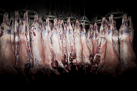 屠宰场兽骨替代饮食生食肉类肋骨动物红肉牛肉肉柜图片