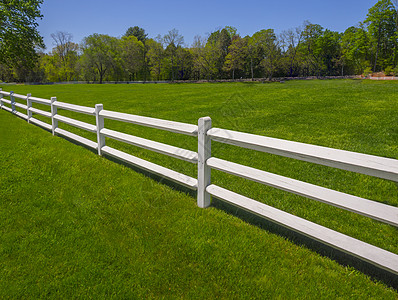 绿色草地上的白栅栏图片