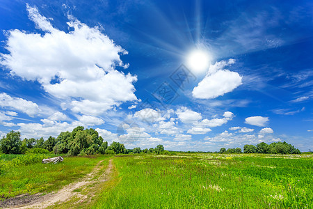 草地场景场地阳光天空草原太阳绿色墙纸春景蓝色图片