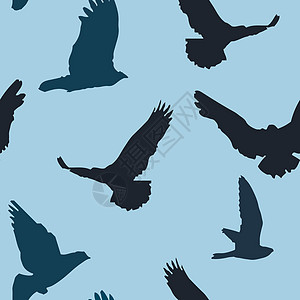 矢量鸟类背景无缝模式尾巴青鸟电线鸟巢鸟儿航班收藏黑与白鸟笼猫头鹰图片