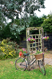 复古自行车带鲜花的自行车花束乡村花朵黑色古董植物白色花园旅行建筑学背景