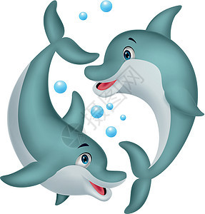 可爱的海豚夫妇漫画鼻子野生动物荒野乐趣动物动物园飞跃插图游泳快乐图片