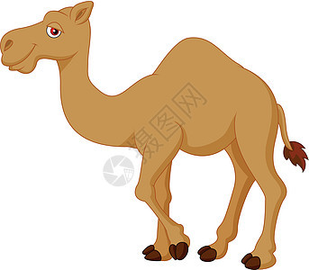可爱骆驼漫画哺乳动物荒野乐趣情调笑脸尾巴异国孩子们沙漠旅游图片