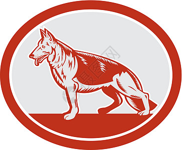 德国牧羊犬椭圆形舌头插图艺术品野生动物羊犬宠物犬类木刻图片