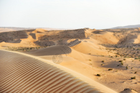 瓦希巴阿曼沙漠旱谷灌木丛植物天空绿色假期衬套旅行沙丘图片