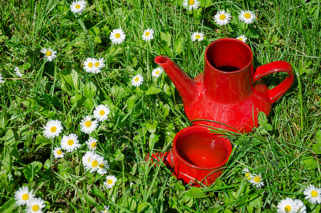 草地的红土老古董杯壶背景图片