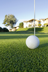 高尔夫球球闲暇公园草地游戏运动娱乐白色爱好绿色图片
