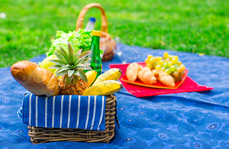 带葡萄和两杯白酒的篮子桌布格子餐具食物果汁森林菠萝酒精面包幸福图片