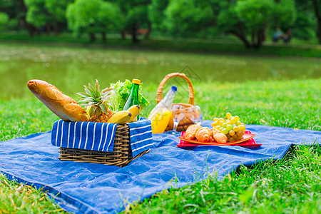 白葡萄酒 梨子 水果 面包的彩礼环境草地公园餐具果汁树木格子活动家庭生活时间背光图片