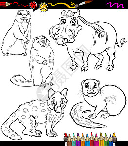 动物设置卡通彩色本袋鼬土拨鼠快乐插图孩子们幼儿园染色猫鼬地鼠绘画图片