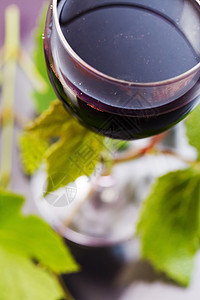 红酒在玻璃中 有葡萄叶藤蔓派对叶子庆典环境紫色收成酒杯植物高脚杯图片