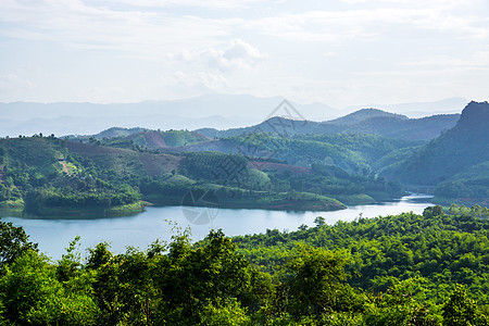 自然景观绿色天空墙纸爬坡森林地球叶子场地晴天植物图片