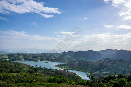 自然景观森林爬坡场地地球叶子黄色花园墙纸晴天树叶图片