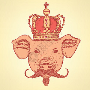 长着胡子 矢量背景的刺纹猪冠动物意外猪肉艺术品熏肉国王蚀刻哺乳动物潮人墨水图片