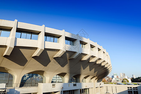 日本东京Yyoogi国家体育馆面影运动现代主义者游泳建筑体育场曲线国家竞赛游戏建筑学图片