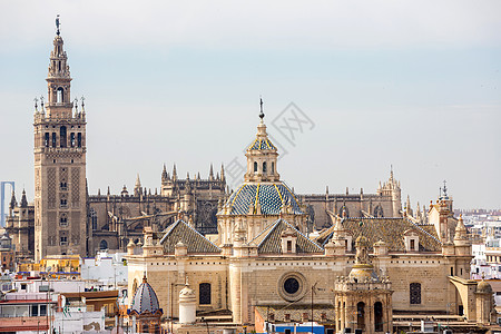 西班牙塞维利亚大教堂大都市场景景观城市市中心地标正方形建筑大教堂广场图片