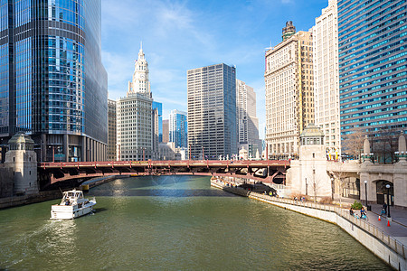 芝加哥市中心城市生活办公楼结构金融景观市中心天际住宅区街道蓝色图片